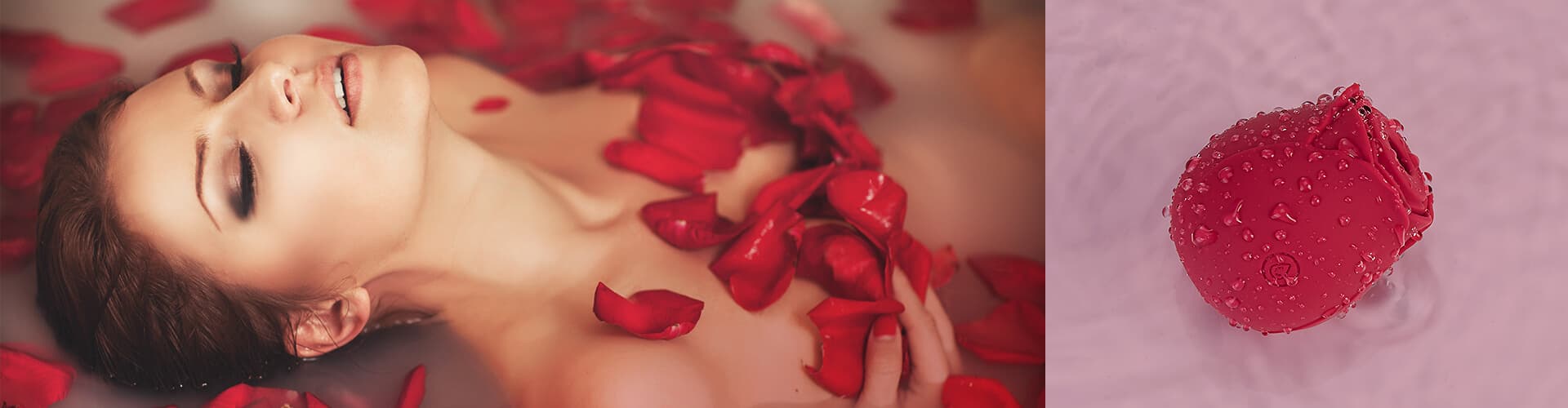 Red roses<br />
&nbsp;