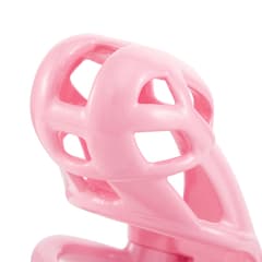 3D Design - Chastity belt disposable lock with four rings