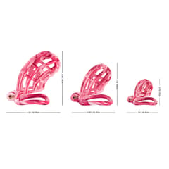 Pink Encounter-3D Design Chastity Cage with 4 Rings and Disposable Lock