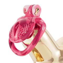 Pink Bird - 3D Design Chastity Cage with 4 Rings with Disposable Lock