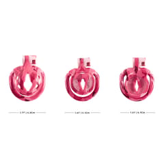 Pink Bird - 3D Design Chastity Cage with 4 Rings with Disposable Lock