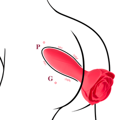 Rosa - 10 Frequency Inflatable Vibrating Anal Plug Prostate Massager