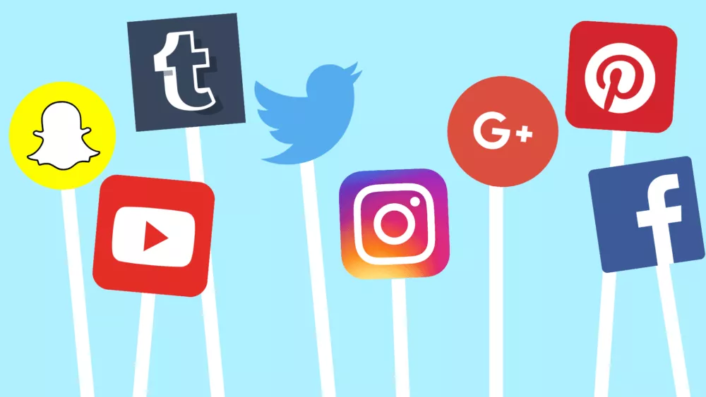 Utimi Social Media Spotlight: Highlights and Insights